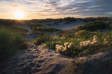 Zonsondergang in de duinen van Oostduinkerke van Tim van der Kraats