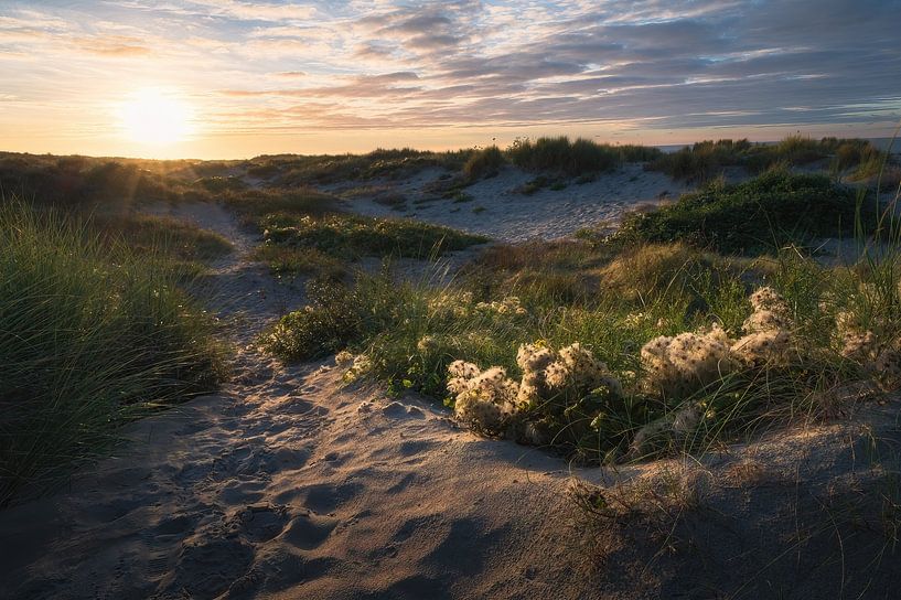 Zonsondergang in de duinen van Oostduinkerke van Tim van der Kraats
