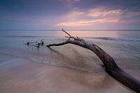 Wilder Weststrand