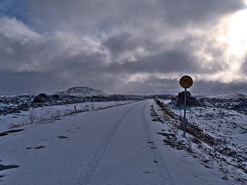 IJzige road trip in IJsland van Timon Schneider