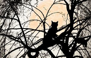 Illustration einer Silhouette einer Katze auf einem Ast bei Sonnenaufgang