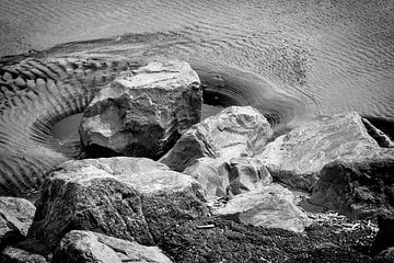 Versteinert von Jan van der Knaap