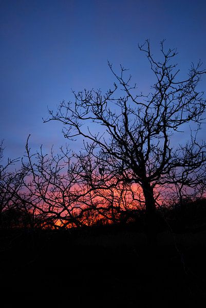 Zonsondergang in het Zwanenwater van Margreet Frowijn