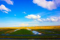 nederland
