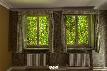 Die Natur übernimmt die Führung.