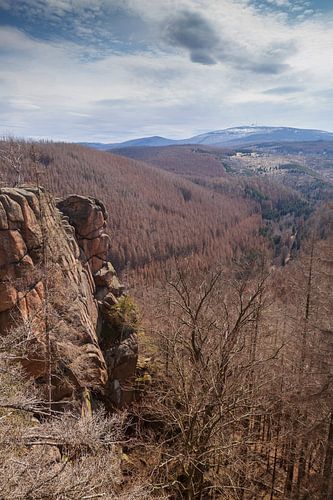 Blick von der Rabenklippe zum Brocken