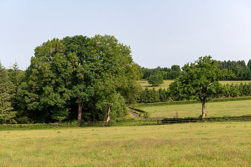 Belgien Landschaft von Richard Wareham