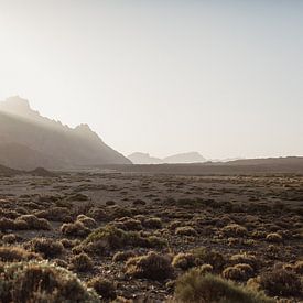 Sonnenuntergang El Teide von Leathitia Zegwaard