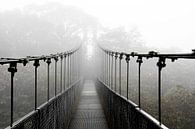 Hanging bridge, hangbrug in het nevelwoud van Costa Rica van Bianca ter Riet thumbnail
