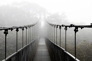 Hängebrücke im Nebelwald von Costa Rica