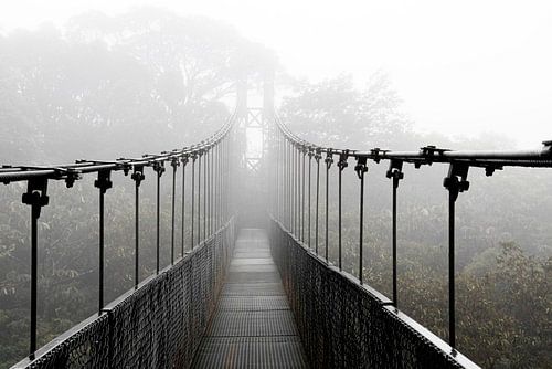 Hanging bridge, hangbrug in het nevelwoud van Costa Rica van Bianca ter Riet