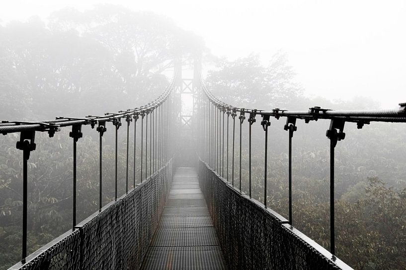 Hanging bridge, hangbrug in het nevelwoud van Costa Rica van Bianca ter Riet