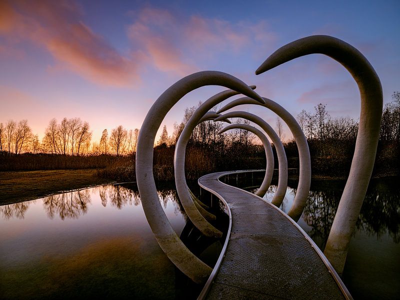 The artwork 'Timeline' by Eddy Westdijk