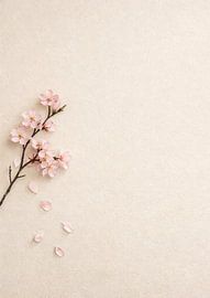 Minimale sakurabloesem van irgian firmansyah