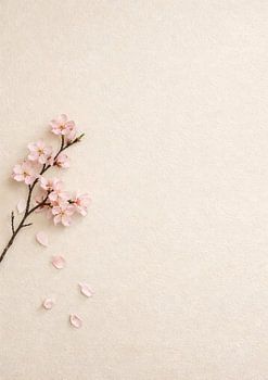 Minimale Kirschblüte