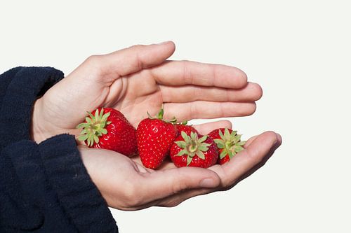 Een handvol mooie rijpe aardbeien