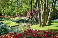 A walk in the park