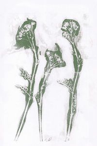 Blumen im Retro-Stil. Moderne botanische minimalistische Kunst in Weiß und Grün von Dina Dankers