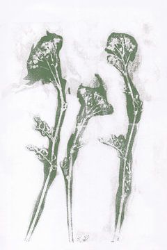 Bloemen in retro stijl. Moderne botanische minimalistische kunst in wit en groen van Dina Dankers