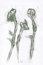 Bloemen in retro stijl. Moderne botanische minimalistische kunst in wit en groen van Dina Dankers thumbnail