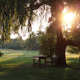 Sonnenaufgang van Riegler klaus