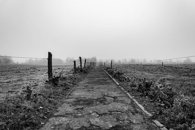 Leuven, Belgium, 2018 by Anna den Broeder