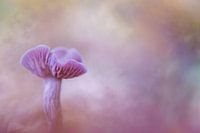 bunter Herbst