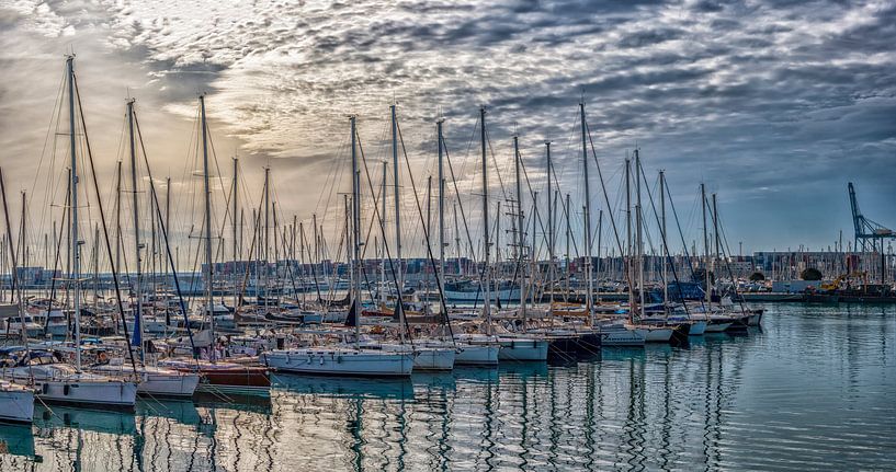 Yachthafen Valencia von Luc V. de Zeeuw