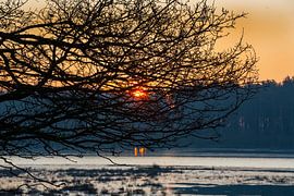 22-02-2018, PESSE, Sonnenaufgang im Nationalpark Dwingelderveld von Francois Wieringa