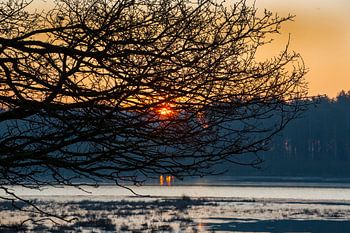 22-02-2018, PESSE, Sunrise in national park Dwingelderveld