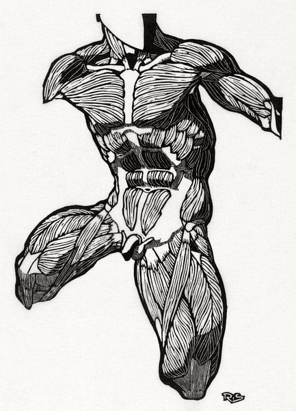 anatomie man met spieren, Reijer Stolk van Atelier Liesjes