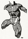 anatomie man met spieren, Reijer Stolk van Atelier Liesjes thumbnail