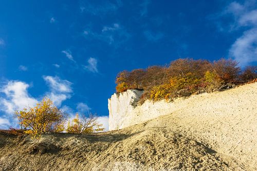Ostseeküste auf der Insel Moen in Dänemark
