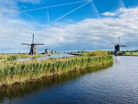 Kinderdijk van Evelien Bouius
