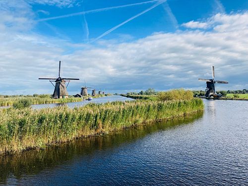 Kinderdijk