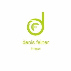 Denis Feiner profielfoto