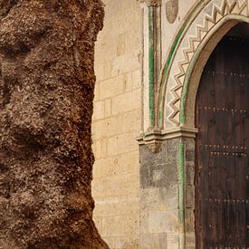 Andalusien von Marieke Funke