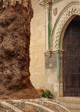 Andalusia by Marieke Funke