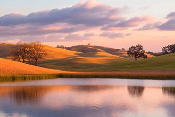 Landschap in het avondlicht van Poster Art Shop