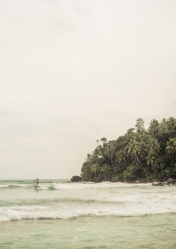 Rustig strandlandschap met weelderige palmbomen