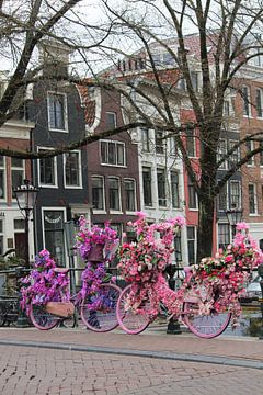 Radfahren mit Blumen in Amsterdam von Tatjana Korneeva