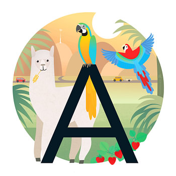 A: Alpaca in the Andes