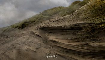 windgepeitschte Düne