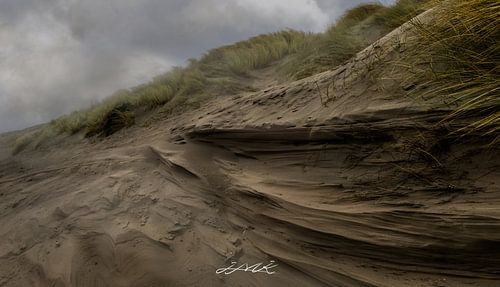 windswept dune