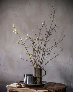 Nature morte avec des fleurs de printemps et des chopes à bière en étain sur du bois sur Affect Fotografie