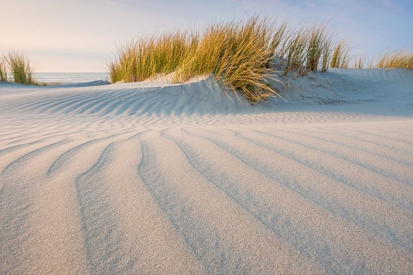 Les dunes de Helmgrass Terschelling par Jurjen Veerman