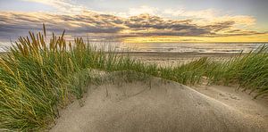 Série Plages hollandaises 2026 - 13
