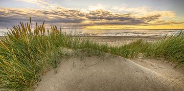 Dutch beach series 2026 - 13 by Alex Hiemstra