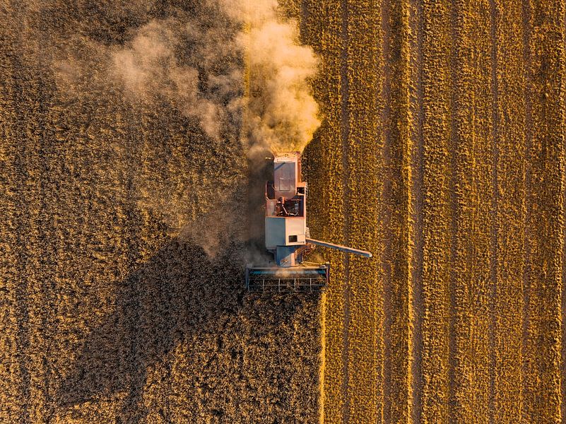 Combaine oogst tarwe tijdens de zomer van Sjoerd van der Wal Fotografie
