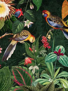 Vintage Midnight Tropische jungle met exotische vogels 2 van Floral Abstractions